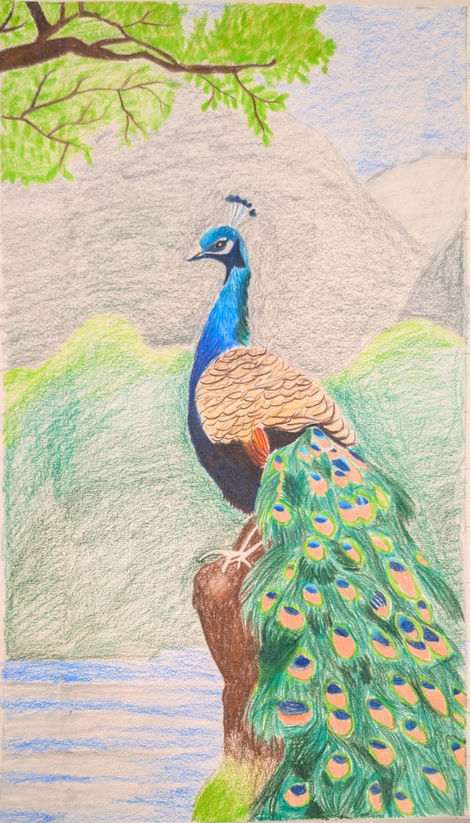 Perching Peacock
