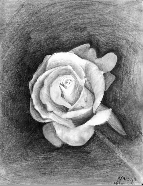 Rose