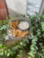 Chicken Salad with Pita Chips