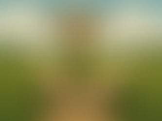 The Early Years at a Crossroads: Where Has Child Development Gone?