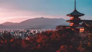 Japan: Where Wellness Soars With Pelorus | Live365