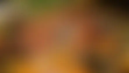 음식물 쓰레기 중단 - 퇴비화 소개