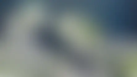 인공 섬: 경제적 약속 대 환경적 위험