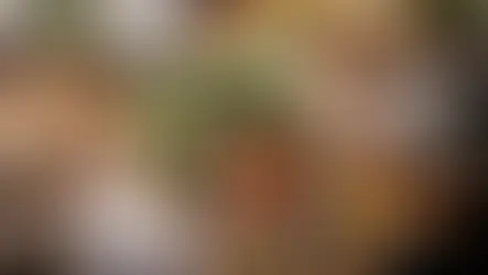 아름다운 식량의 미래 확보