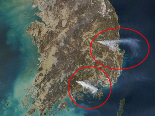 [뉴스]  한국, 기록적인 산불 피해 복구 나서다