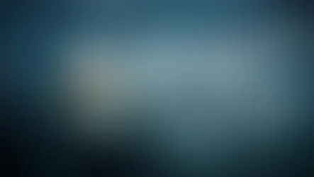 ESG 관행을 수용하는 두 회사의 이야기