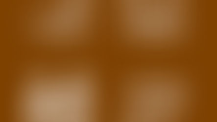 세계 위험 보고서 2024 