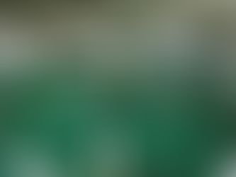 사막에서 물고기를 기른다