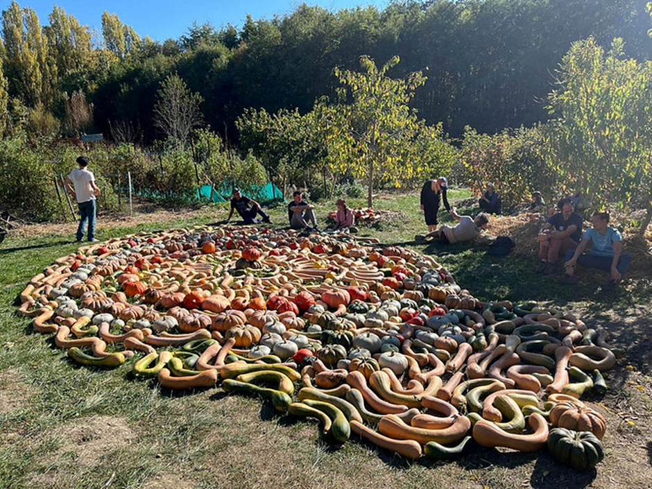 플럼 빌리지 해피 팜에서 열린 수확 수련회에서 참가자들이 만든 호박과 스쿼시 만다라. ©사진 제공: 플럼 빌리지 해피 팜