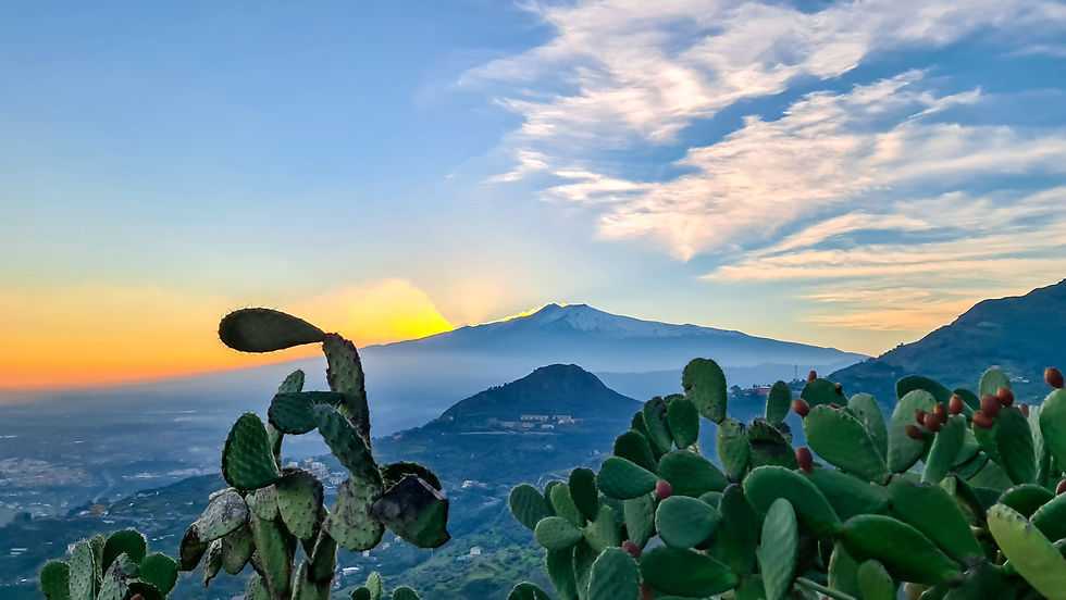 시칠리아의 선인장과 함께 멀리 해질 무렵의 에트나산이 보인다. ©Istock