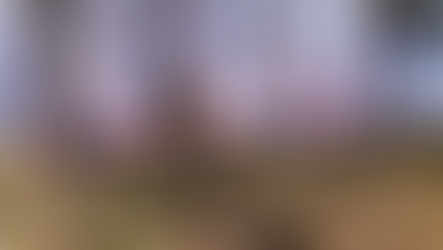 미국 서부 ‘산불 결핍’… 정책 변화 필요