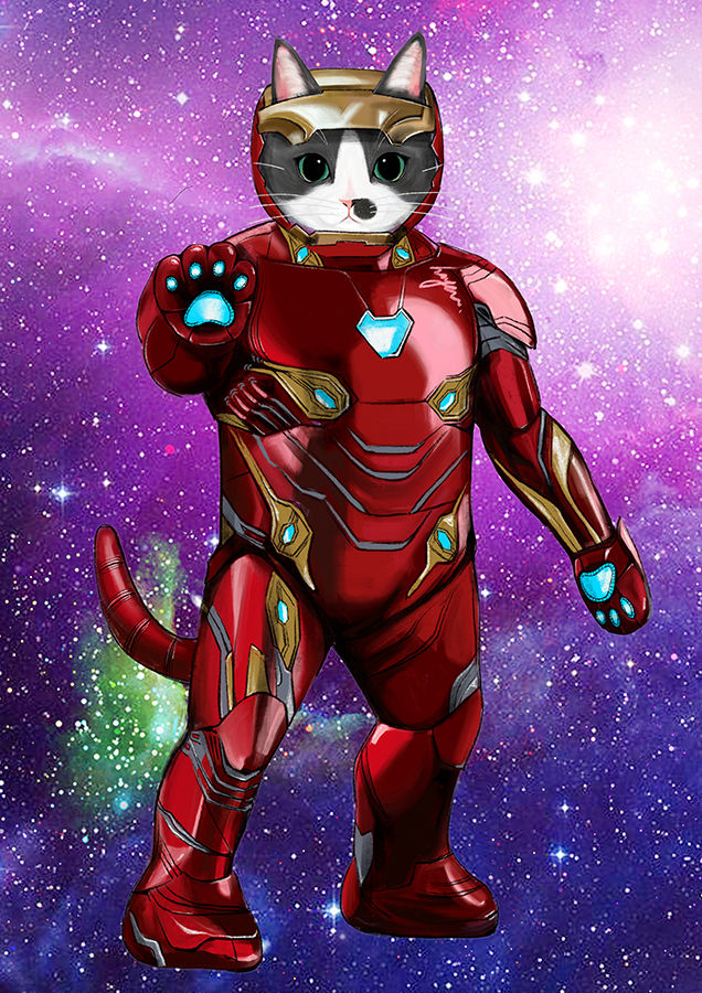 Iron Topa / 아이언 토파