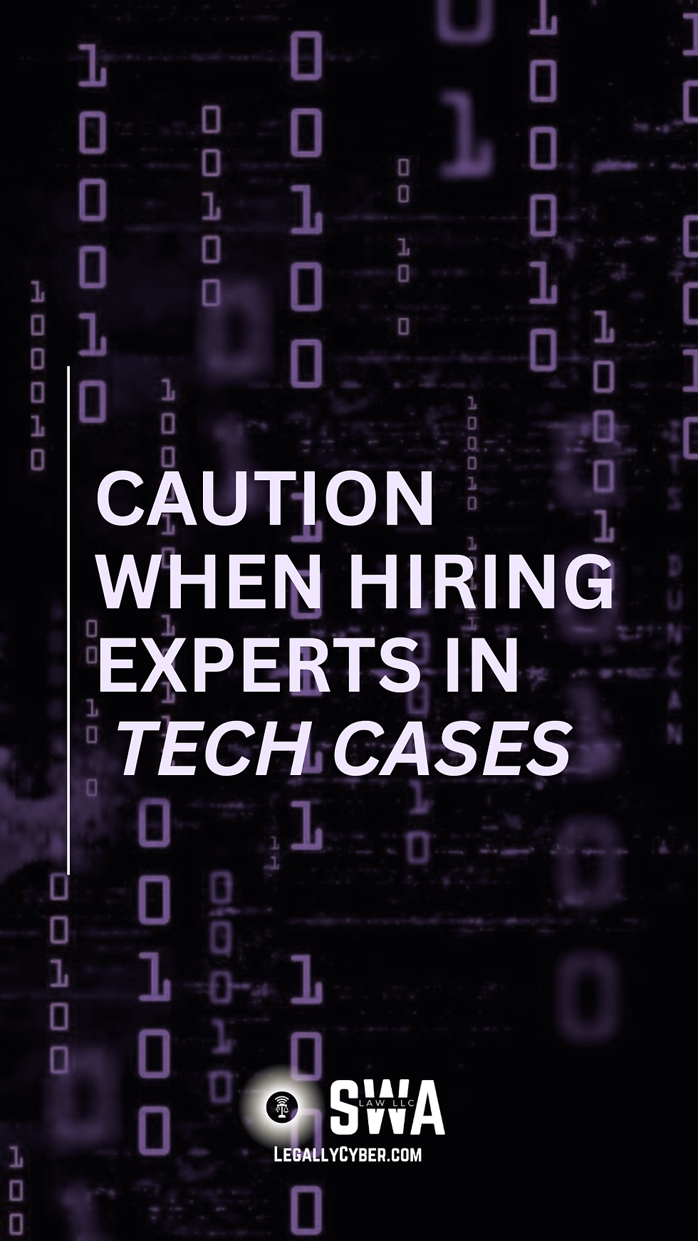 Caution When Hiring Experts in Tech Cases 