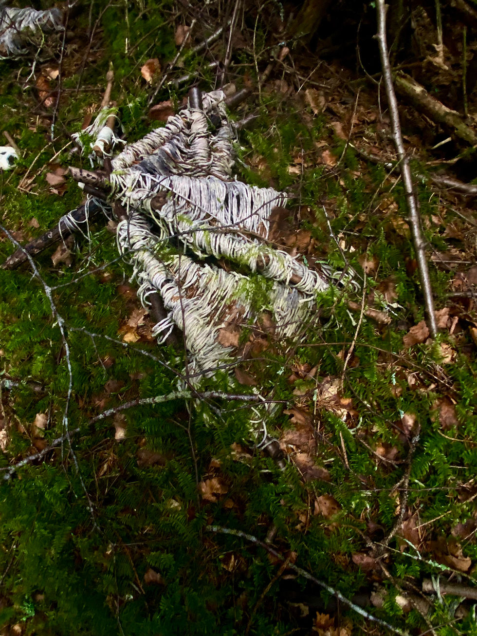 naturally decayed rope tepee