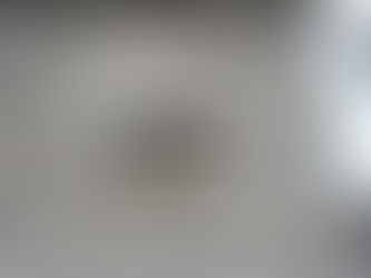 Warning! Your Dryer Vents Could Be a Haven for Pests - Preventing Pest Infestations in Dryer Vents