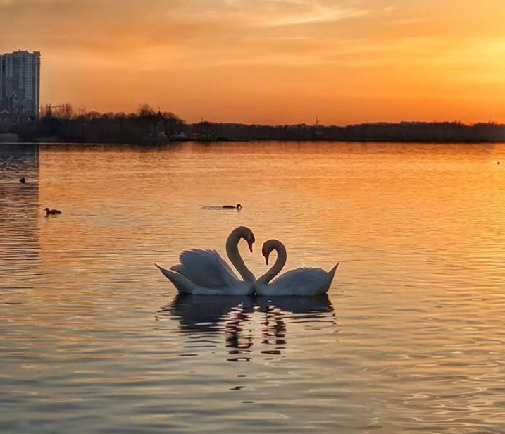 мифы о похудении диета голодание сладости калории салат  река