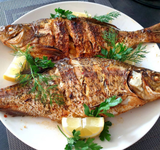 поплавочная удочка фидерная снасть лещ карп