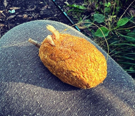 рецепт прикормки на карася кормушка ловля леща на фидер