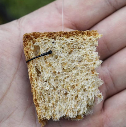 рыбалка на хлеб насадка на леща bread fishing карп сазан