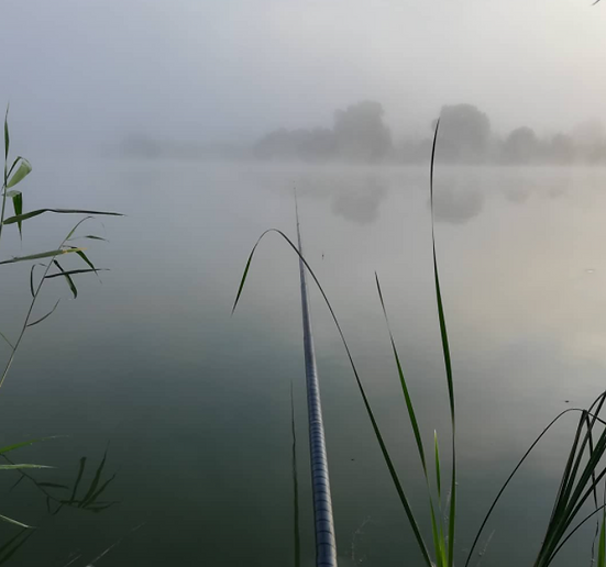 поплавочная удочка фидерная снасть лещ карп