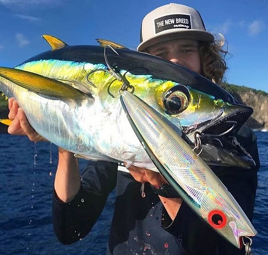 Леска для спиннинга Jaxon Mistrall Satori Ловля леща