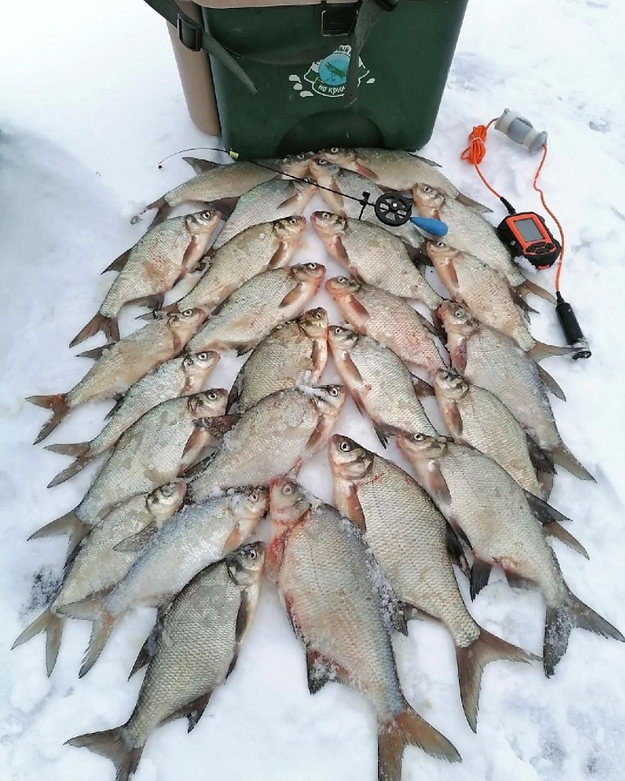 Screenshot 2022-01-20 165432.png