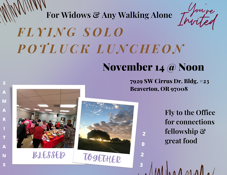 FLYING SOLO LUNCHEON November Website