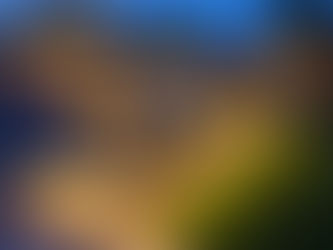 Illuminate Your Garden This Spring and Summer with CM Building Services: Shrewsbury Builders Ready to Transform Your Outdoor Space