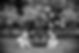 7D187279 CLIENTS SAY.jpg