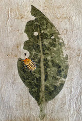 Kanan Koteshwar, Prakrut/Samakrut, Botanical Print, Eco Print, Embroidery, catterpillar, leaf, nature, blue, green, Natural, contemporary art, insect, VHC, Vida Heydari Contemporary, female artist, art in pune, indian artist