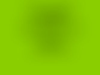 What Roberto Cavalli Taught Me About the Patriarchy