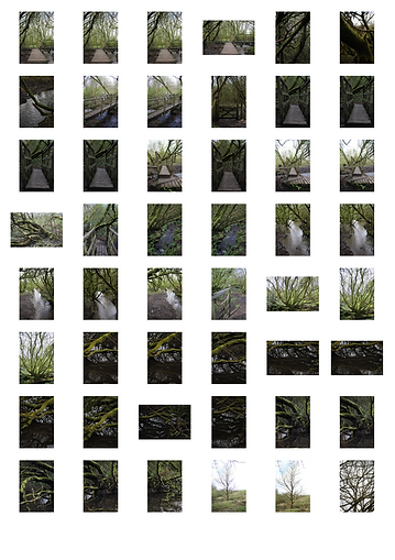 Screenshot 2024-05-07 at 14.36.47.png