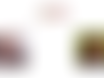 “UN TAVOLO DI CONCERTAZIONE CON LE ISTITUZIONI”
PRECARIETA’ E CARENZA DI MEDICI