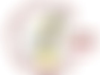 Sciopero Nazionale Medicina Generale 5 Novembre 2025 - SNAMI Emilia Romagna: rischio concreto privatizzazione MMG