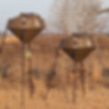 Boss Buck Feeder with Gravity or Auto Sp