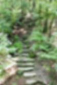 Stone_steps_in_the_woods.jpeg