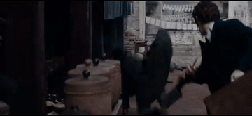 youtube-video-gif - 2026-02-11T134200.381.gif
