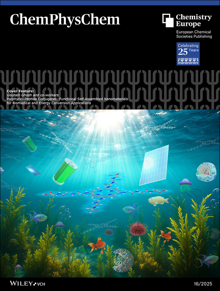 ChemPhysChem Cover Feature