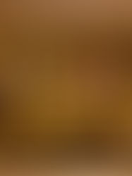 Cuban Cigars 101: A Beginner’s Guide to Brands, Types, and Characteristics of Cuban Cigars