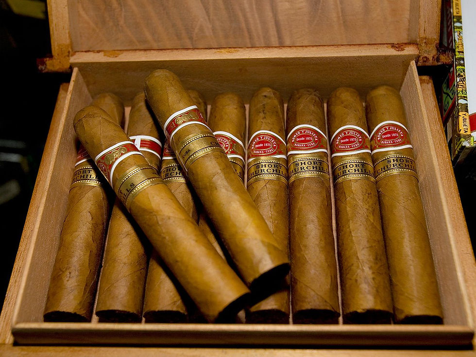 Cuban Cigars 101: A Beginner’s Guide to Brands, Types, and Characteristics of Cuban Cigars