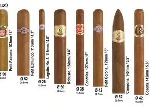 Cigar Sizes and Shapes: Everything You Need to Know About Corona, Robusto, and Churchill Formats