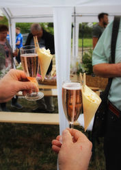 Wedding Ideas mit Zebra 24Seven