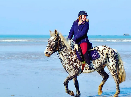 Cheval plage normandie calvados plage du débarquement balade