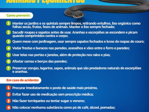 Juazeiro: Secretaria de Saúde orienta quanto à prevenção de acidentes com animais peçonhentos