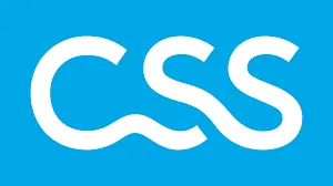 CSS logo