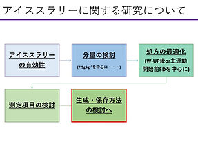 家庭用アイススラリーの生成に向けた取り組みと展望 演習Ⅲ① スライド別7.jpg