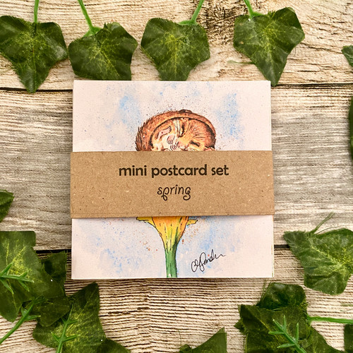 Mini Post Card Set SPRING | HelenSandersonDesign
