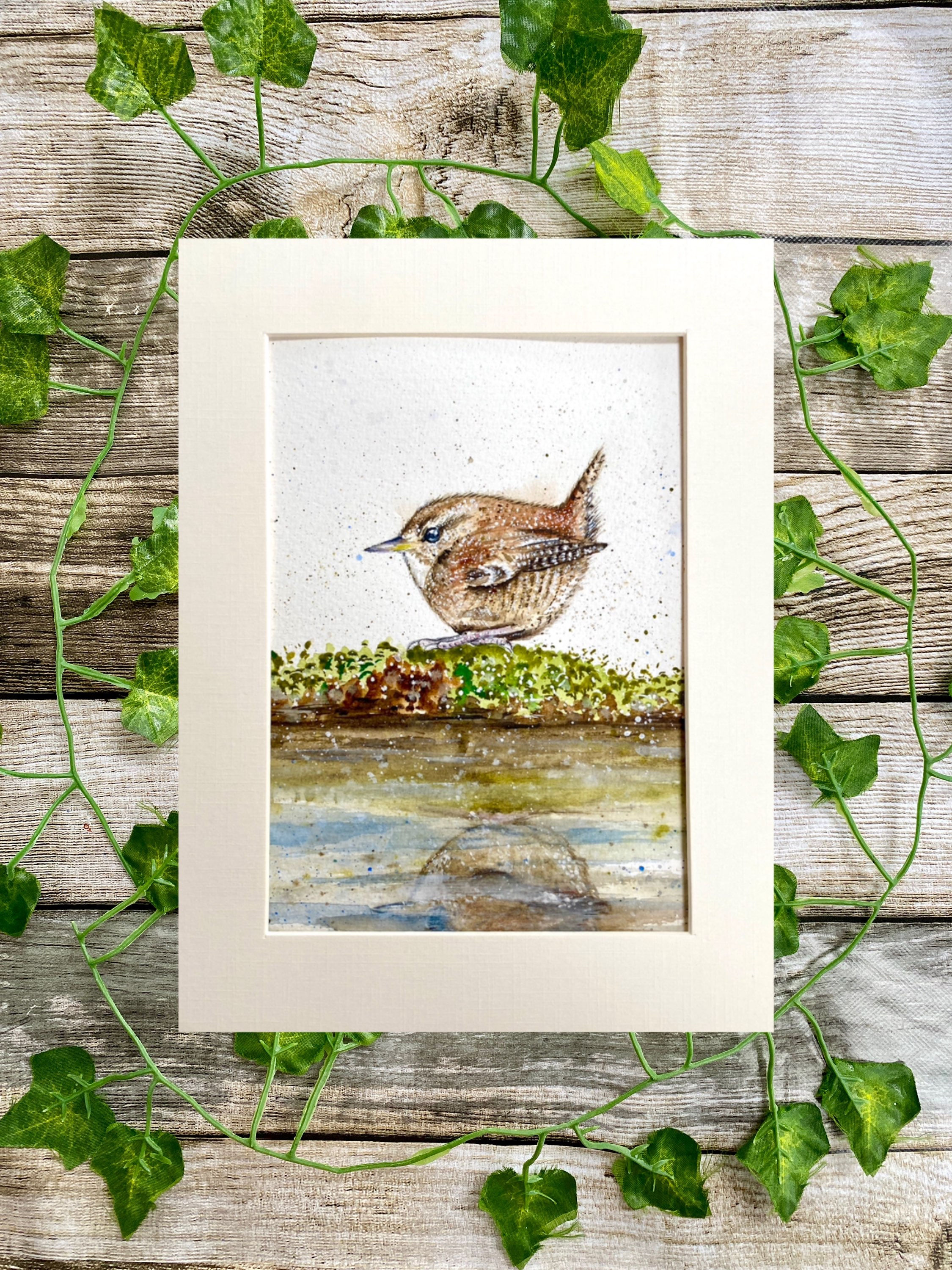 Mounted Print Wren Portrait 