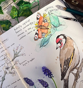 Nature Art Journal 