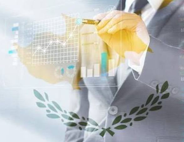 Cyprus Business Development Organisation